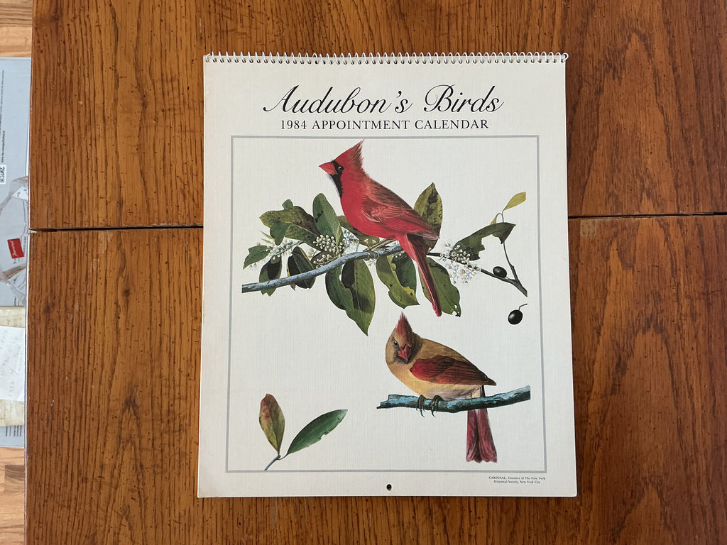 Audubon’s Birds