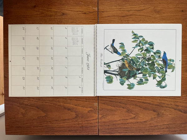 Audubon’s Birds