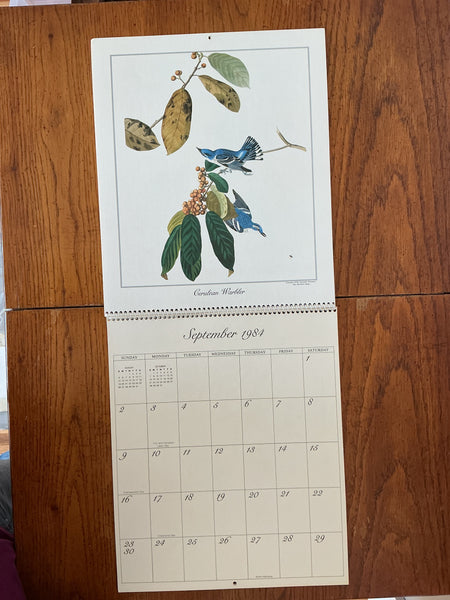Audubon’s Birds