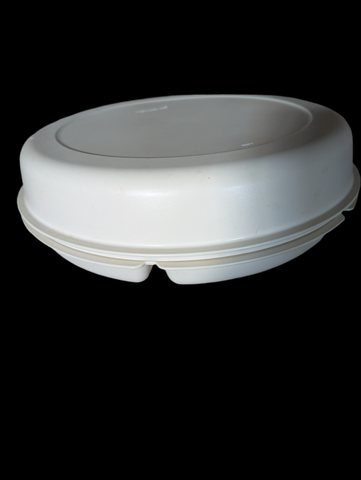 Vintage Tupperware Vegetable /Fruit and Dip Container