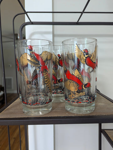 Ring Necked Pheasant Glasses - Vintage - set of 8